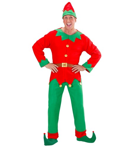 Costume elfo aiutanter - costume,